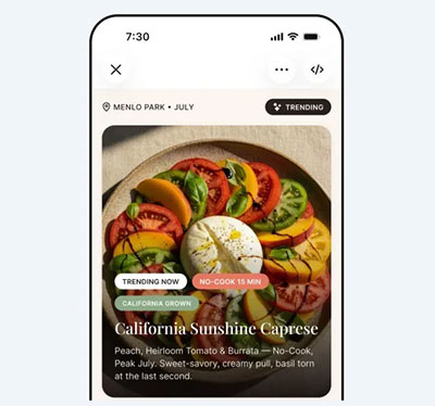 Meta AI